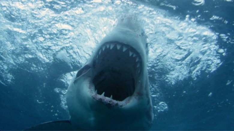 кадр из фильма Great White North Invasion