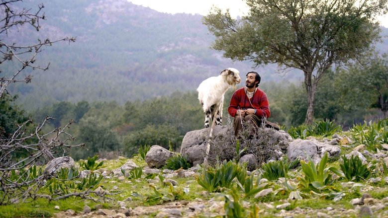 кадр из фильма Turna Misali