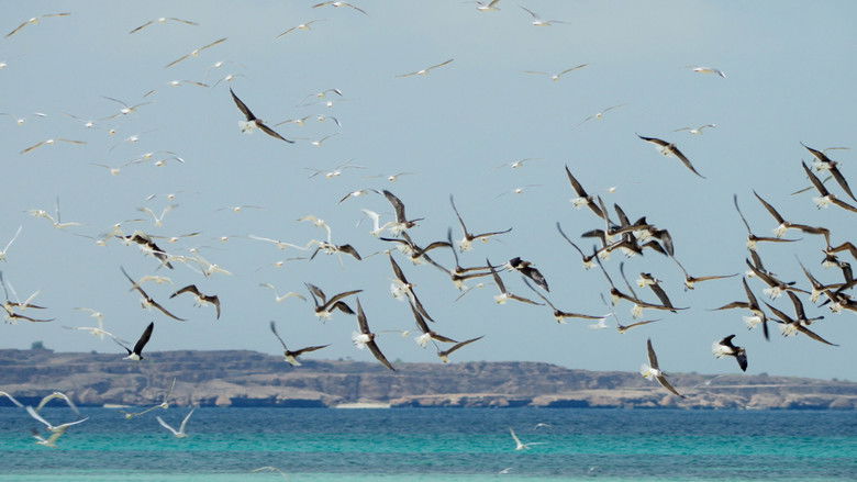 кадр из фильма هورايزن