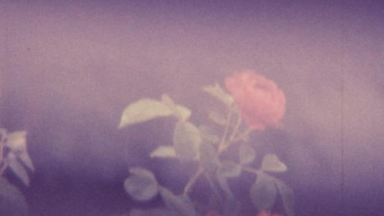 кадр из фильма Viaggi, prima parte