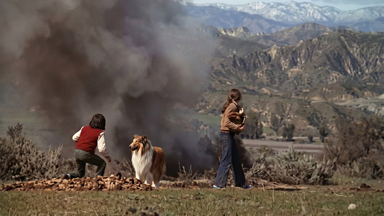 кадр из фильма Lassie: The New Beginning