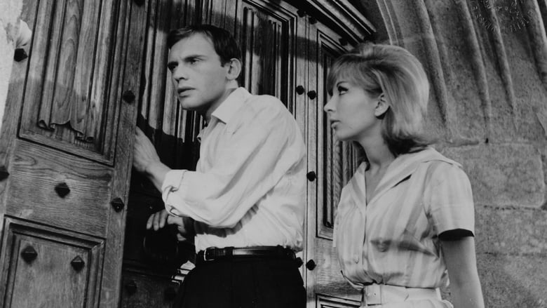 кадр из фильма Весь свет на убийцу