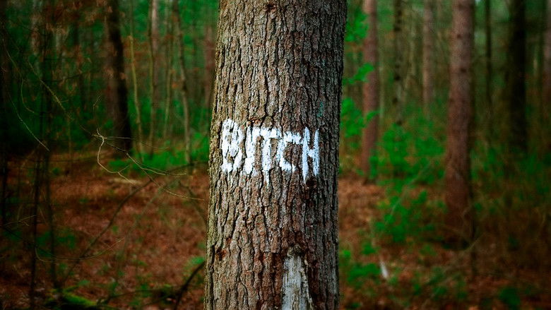 кадр из фильма Je vous salue salope : La misogynie au temps du numérique