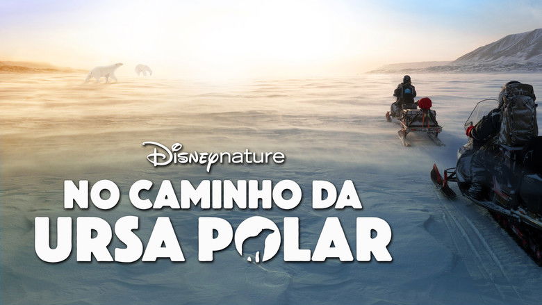 кадр из фильма Bear Witness