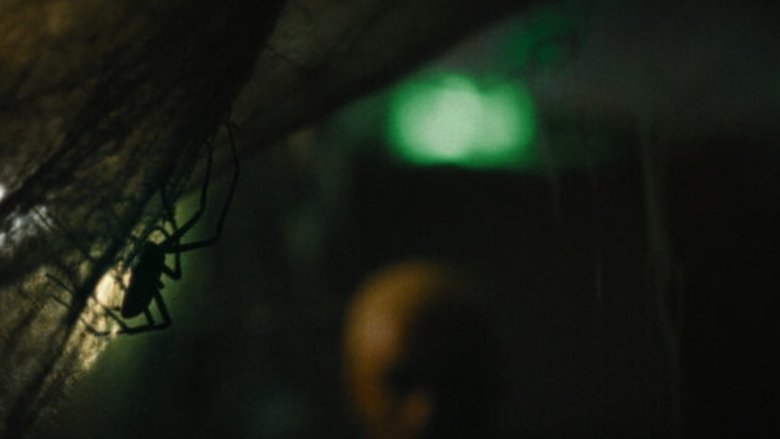 кадр из фильма Паутина страха