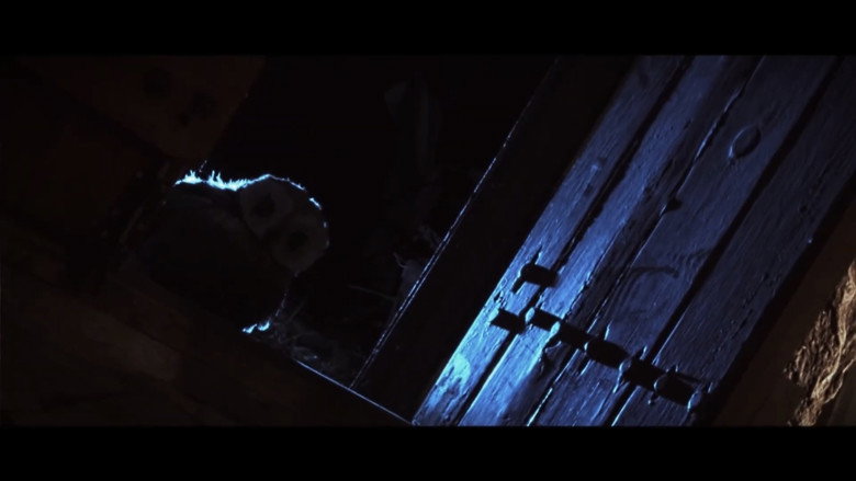 кадр из фильма Tecolote