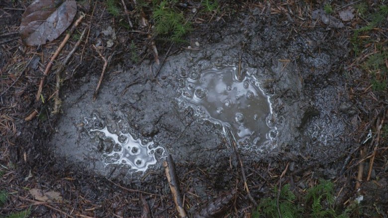 кадр из фильма Большая легенда