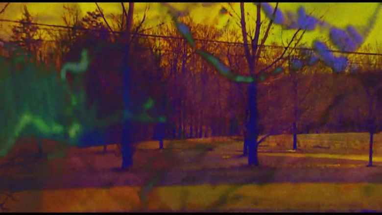 кадр из фильма Joose Psychedelia Test