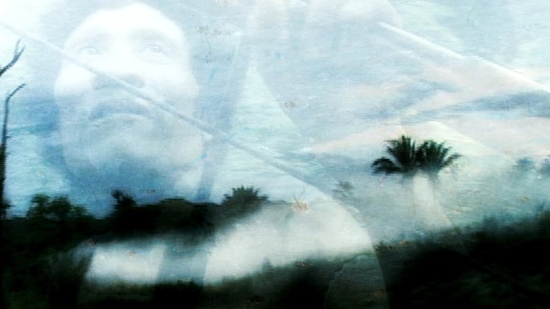 кадр из фильма Serras da Desordem