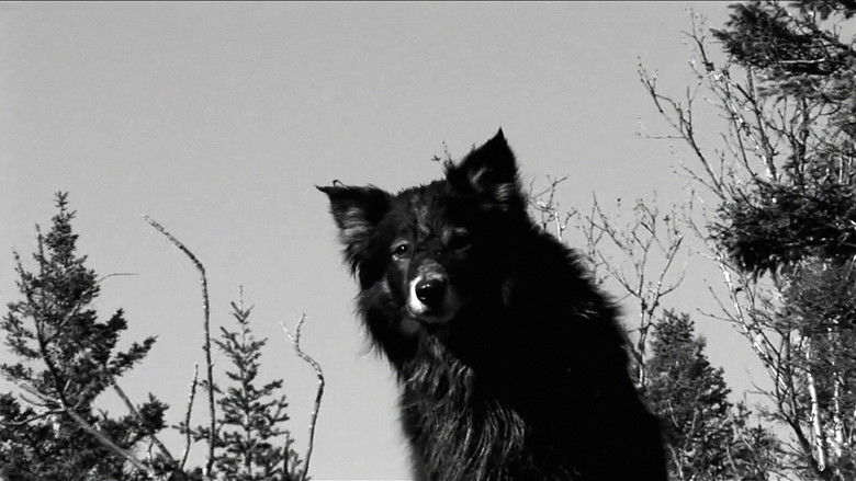 кадр из фильма Lowlife