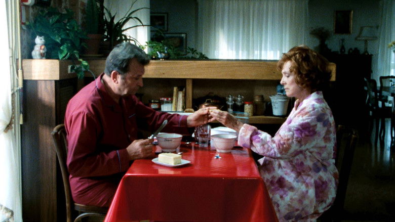 кадр из фильма Beau temps mais orageux en fin de journée