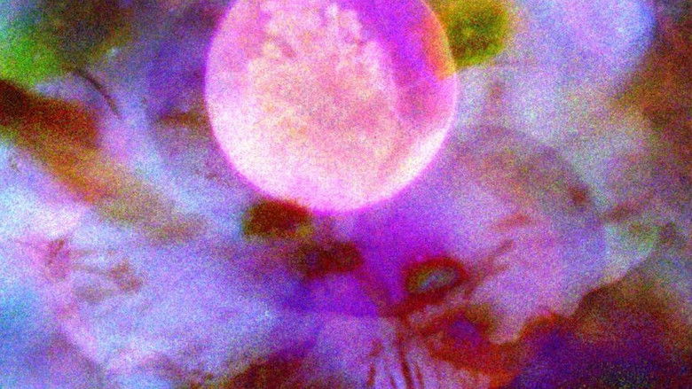 кадр из фильма El nido del Sol