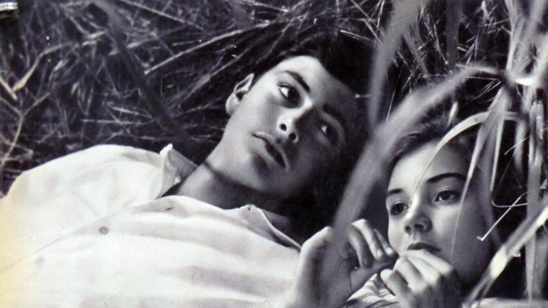 кадр из фильма Le italiane e l'amore