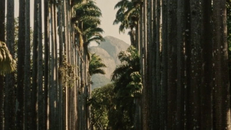 кадр из фильма To Brasil