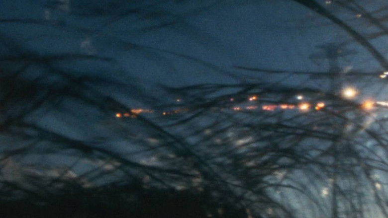 кадр из фильма hi ka ri