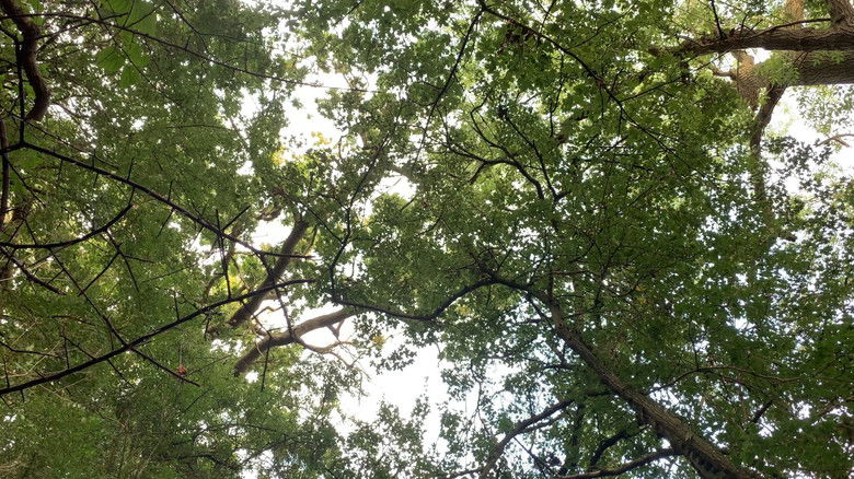 кадр из фильма I Shot My Friend