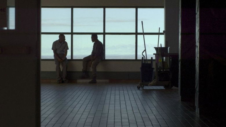 кадр из фильма Oscillations