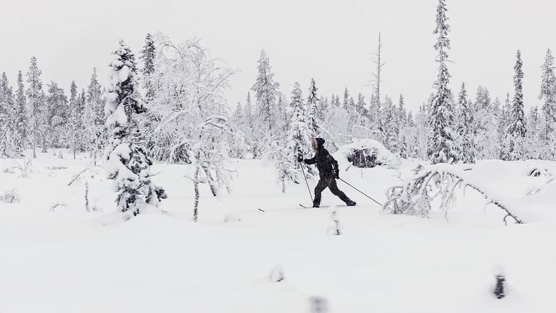 Att bäras av snö