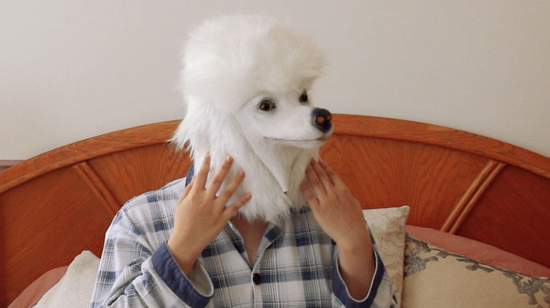 кадр из фильма I Wish I Was A Dog