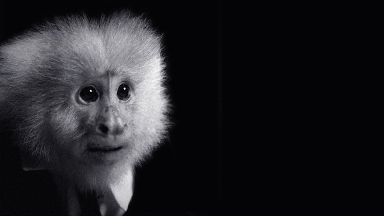 кадр из фильма Что сделал Джек?