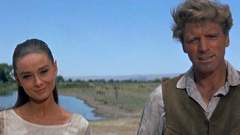 кадр из фильма Непрощённая