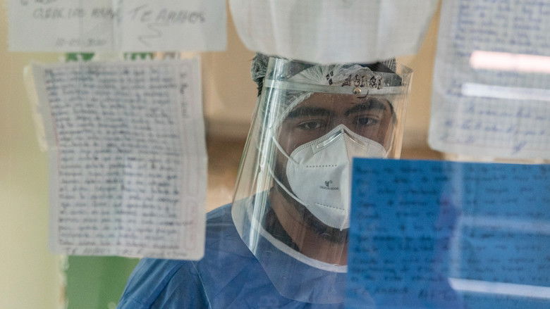 кадр из фильма Cartas a distancia