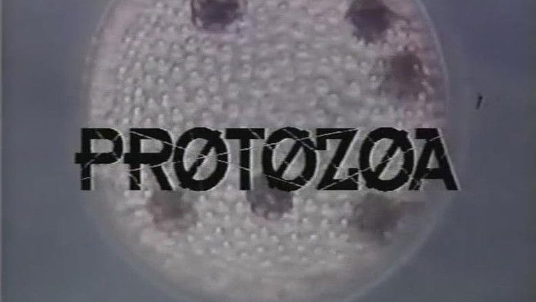 кадр из фильма Protozoa