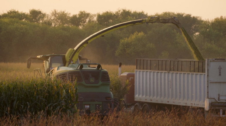 кадр из фильма Pastoral