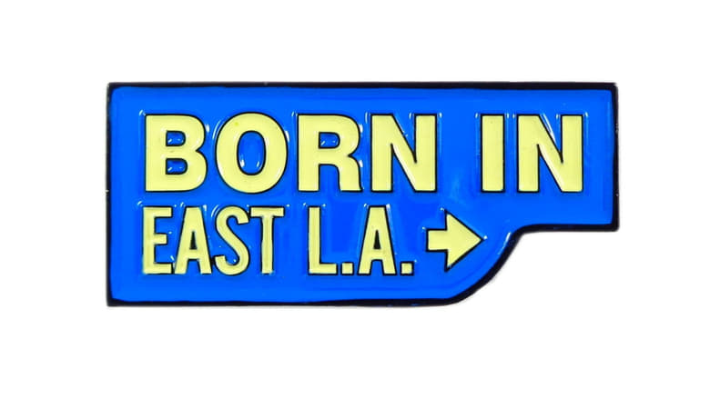 кадр из фильма Born in East L.A.