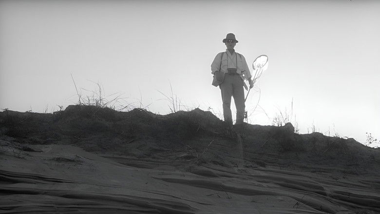 кадр из фильма Женщина в песках