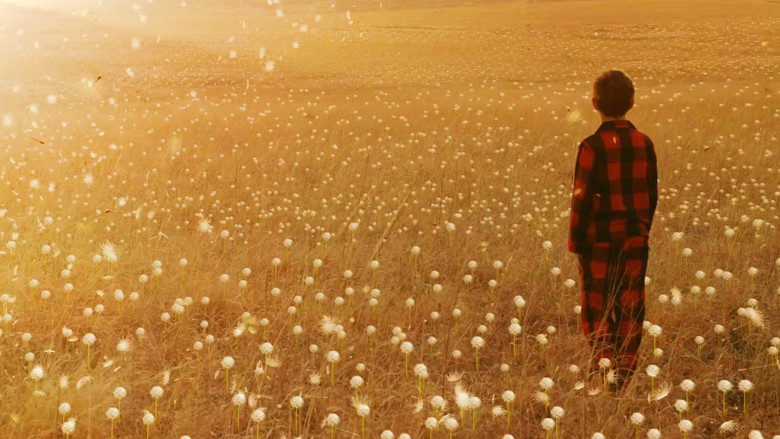 кадр из фильма Wisher Maddox