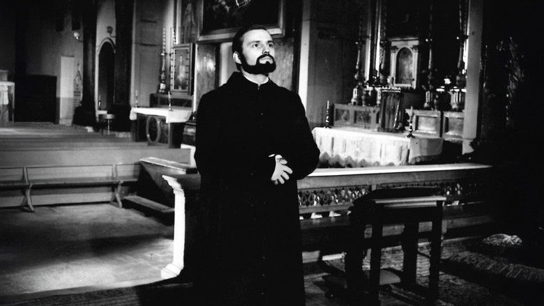 кадр из фильма Sinekli Bakkal