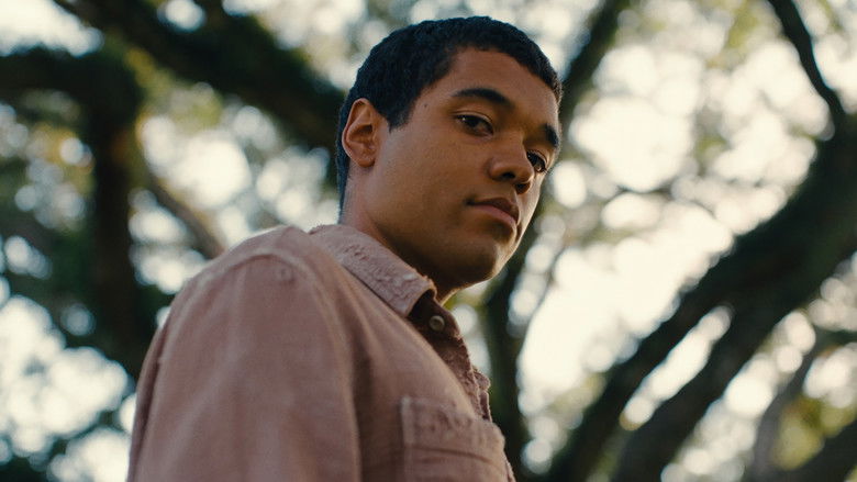 кадр из фильма Мальчишки из «Никеля»