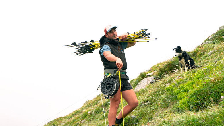 кадр из фильма Pachnée