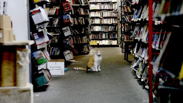 кадр из фильма There Were Always Dogs, Never Kids