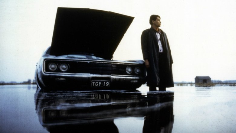 кадр из фильма Rosso