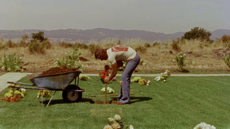 кадр из фильма Gates of Heaven