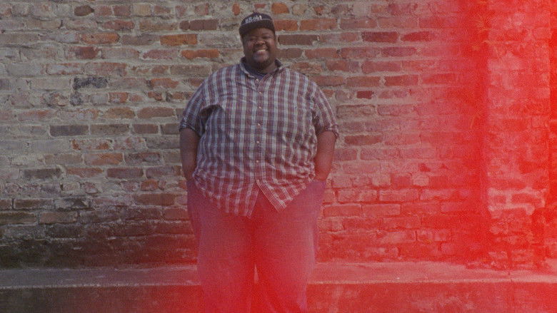 кадр из фильма This Little Light