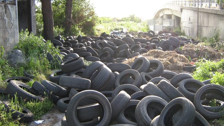 кадр из фильма Biùtiful Cauntri