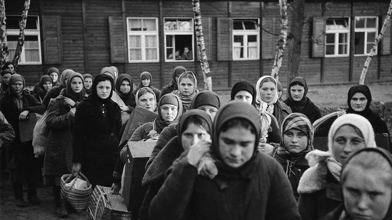 кадр из фильма We Weren't The Only Ones