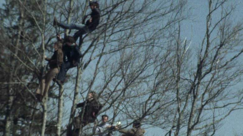 кадр из фильма Великий экстаз резчика по дереву Штайнера