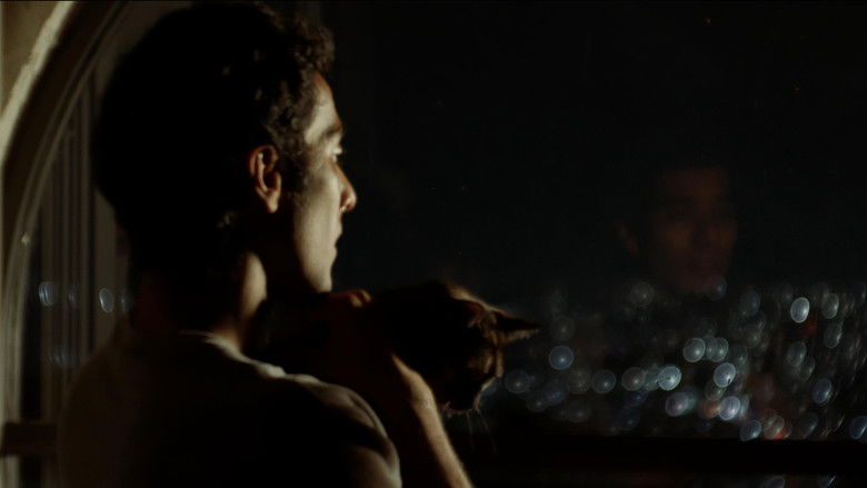 кадр из фильма Anemoia