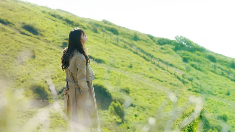 кадр из фильма いつのまにか、ここにいる Documentary of 乃木坂46