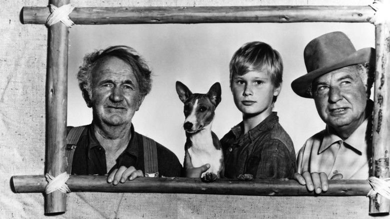 кадр из фильма Good-bye, My Lady