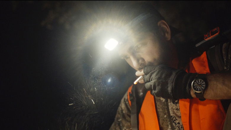 кадр из фильма Mess