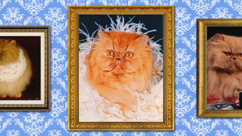 кадр из фильма Cherry Pop