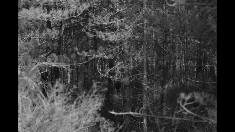 кадр из фильма AU PLUS PROFOND DE SOI