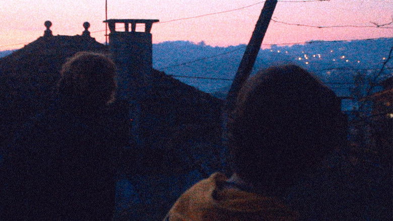 Como Viver Completamente