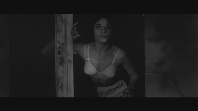 Проклятие мухи