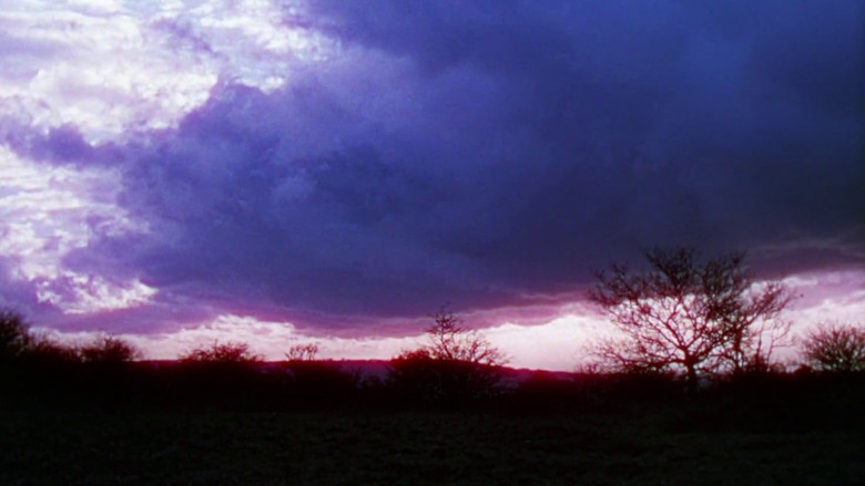 кадр из фильма Gone to Earth